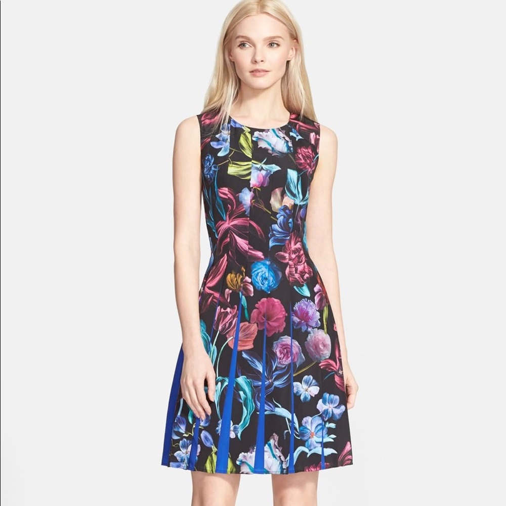 Ted Baker Edelfi Pleated Fit and Flare Dress